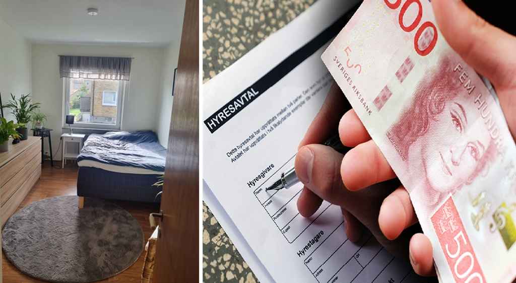 550308833 1225938382341123 726988143606453659 n 1