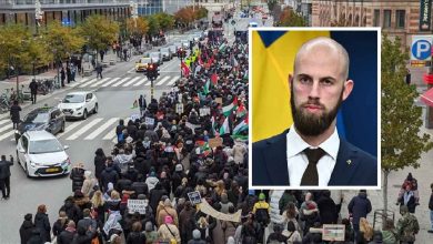 thumbs b c a761792f7da5c04aaed5d15098321013 1