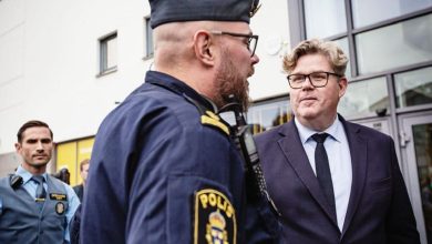 08DoUY7tg1ZFJtKPDgMmlsWC0ZqA REGULAR