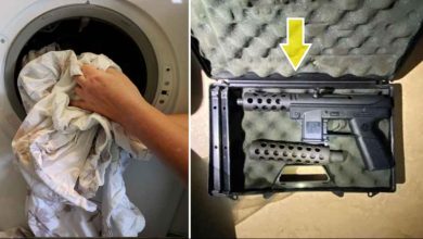 4 yXIx Yz8aYJCczjJan rcLyLiA WIDE 1