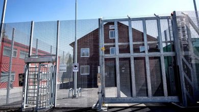 561314645 122179777544512396 8552226715038382183 n