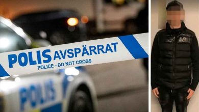 573561819 820662073906756 3455853270140207521 n 1