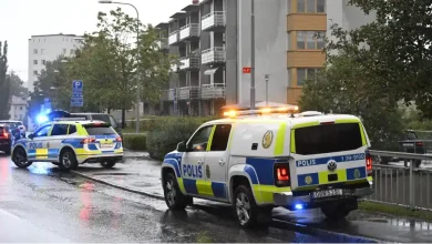 af08d1de 279c 40cc 8199 204283c75703