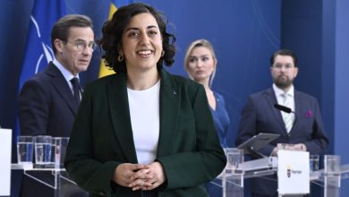 alkompis ipHA W8pvx 1024x576 1