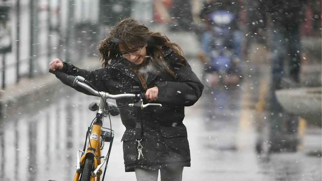 b0b6ab22 7434 4855 8dfa a6de92af62c6 1