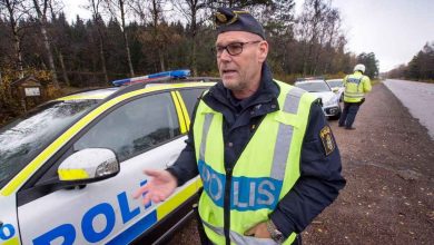 11e7chx0LSGNm6B L8FEGyOotDCOQ REGULAR 1