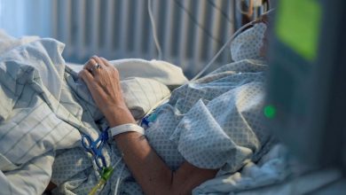 2517c040 3267 46fe 81da ba41fdfe6cd7