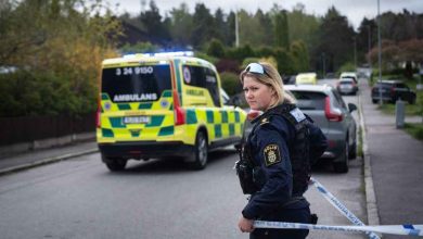 357ApNuqaUvepRnHbJe6ikZLycXQ REGULAR 1