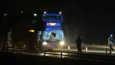 9ed8f400 a767 41c1 89c6 9d812b1dea29 1