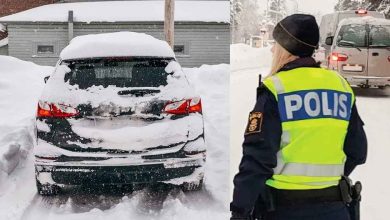 botesfallor vinter 1