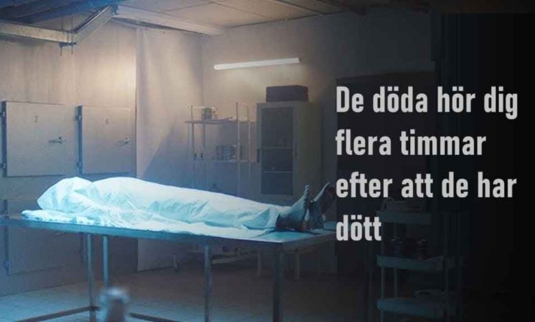 هل يسمع الموتى ما نقوله؟ دراسة علمية تكشف استمرار حاسة السمع بعد الموت! 5 hq720 1