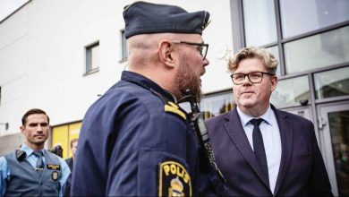 08DoUY7tg1ZFJtKPDgMmlsWC0ZqA REGULAR 1