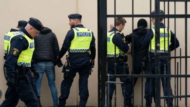 0vVJoRfr8ZY9 g2WLcq3fb CWgTo REGULAR 1