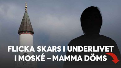 605717289 1367839568716082 7577656392572752596 n 1