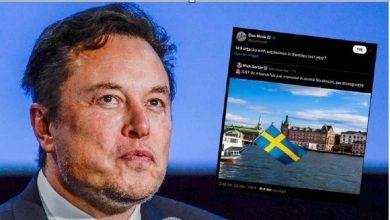 9149638f 3ba2 4f50 934c 036e194d4c68 1