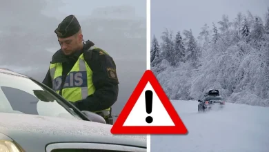 trafikregler boter vaglag dack polis dimma bil motor