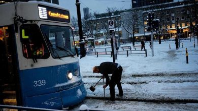 0cD8TcrHJelVAKH9QRBea1doBzI4 REGULAR 1