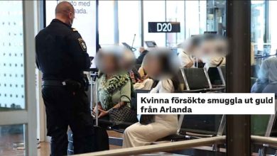 20250908080940 3d52ceeb047e4250677652b65911f9be6bdd8e92f81748e0a528ac7dda2020ba 1 1