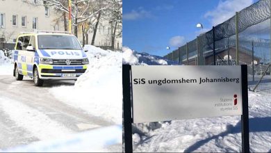 39cecd33 1452 4d71 8c3d 21e26420379c 1