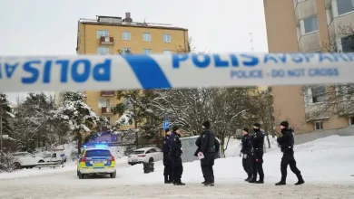 8465b929 d937 4548 9f5d 4aed69ccce69