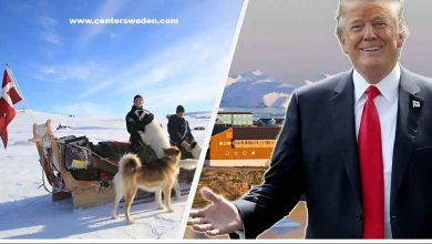 BetterImage 1767642004952 1