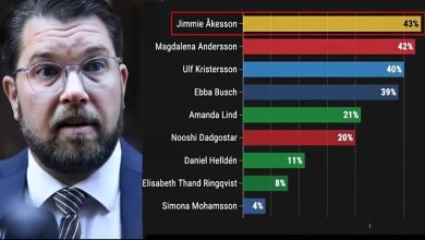 BetterImage 1769285425002 1