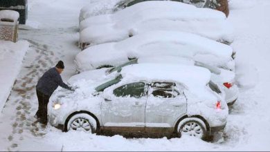 Doc P 523135 638741653147603364 1