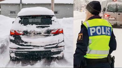 botesfallor vinter 1