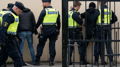 debatt visitation 1146x600 1