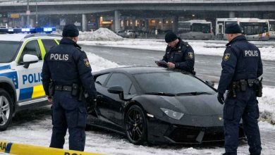 task 01kg4h6k2qejh9syvyzrm01j4b 1769678823 img 1 1