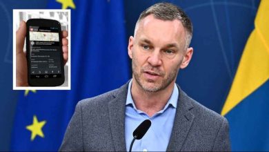 0dxX80R6POksZKAdiYdqyucGF5I0 REGULAR 1