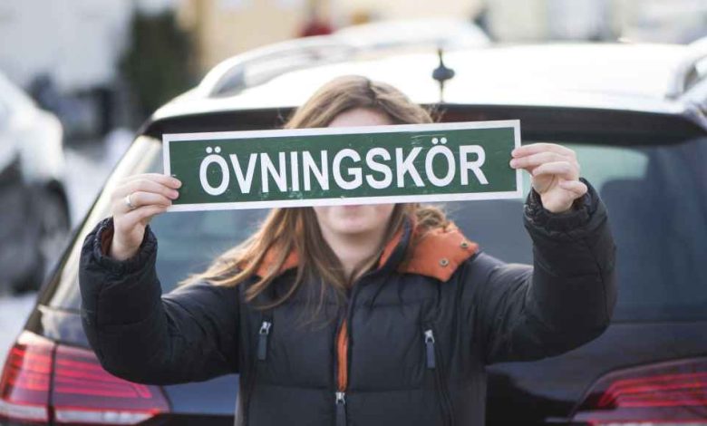 1c0e8b24 3717 4033 aad3 ad43fff8d967 1