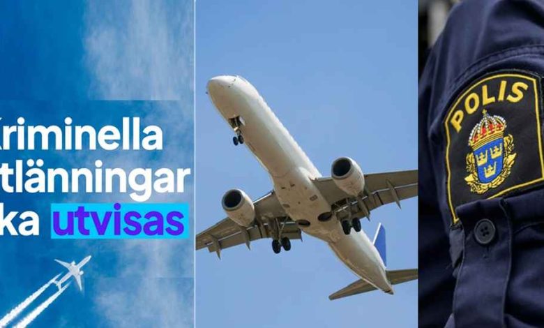 642412987 1498703881626658 6227251945526561844 n 1