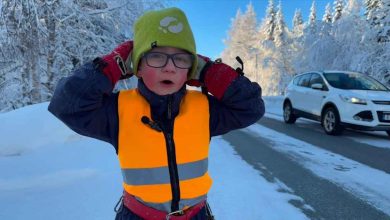 7192719d 66f9 45d3 8913 783dbeb59259 1