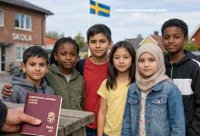 task 01kh4mrye5e6ss7eq0jasrs8rn 1770756309 img 1 1