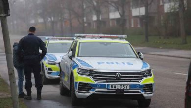 497301291 1266647098801413 788174480509463940 n 1