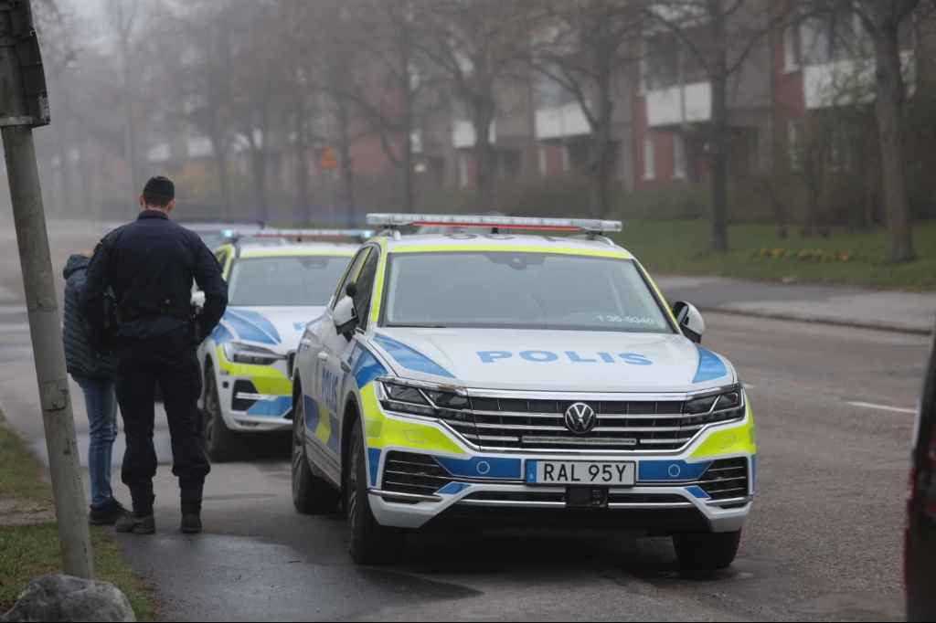 497301291 1266647098801413 788174480509463940 n 1