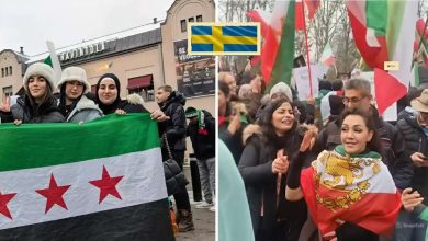 snapedit 1772392772412 1