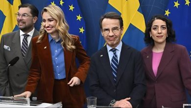 snapedit 1773860717839 1